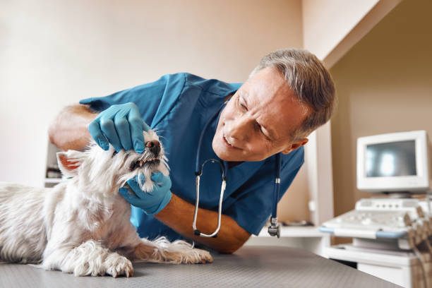 Arnaudville, LA Emergency Dentist Pros